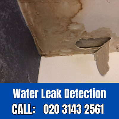 Expert Water Leak Detection Services in Ponders End | Ponders End Leak Detection
